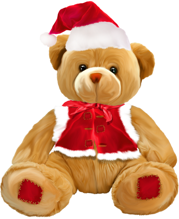 PNG Teddy - 57597