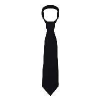 Tie PNG Pic