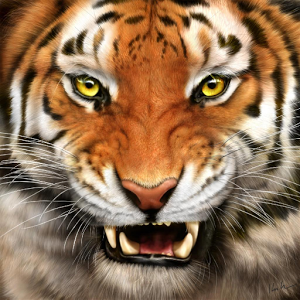 PNG Tiger Face - 58688
