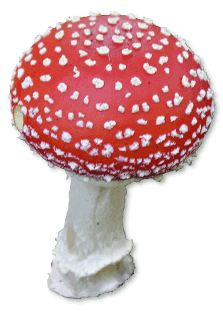 Toad Toadstool Cliparts #2928
