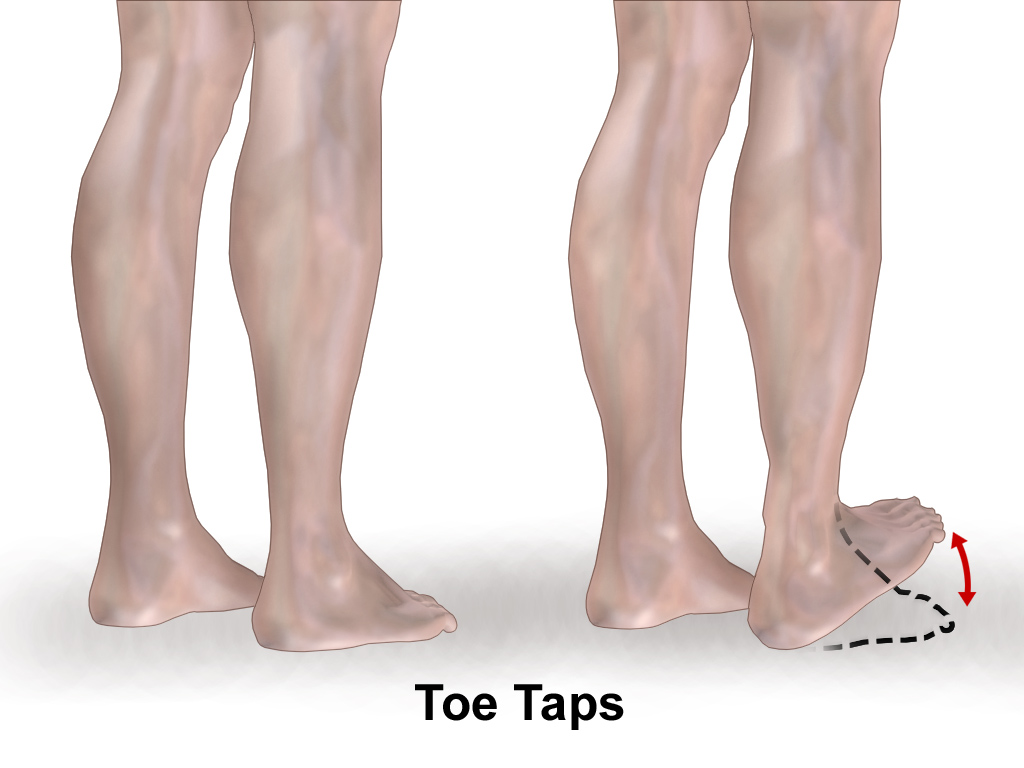 File:Exercise Toe Taps.png