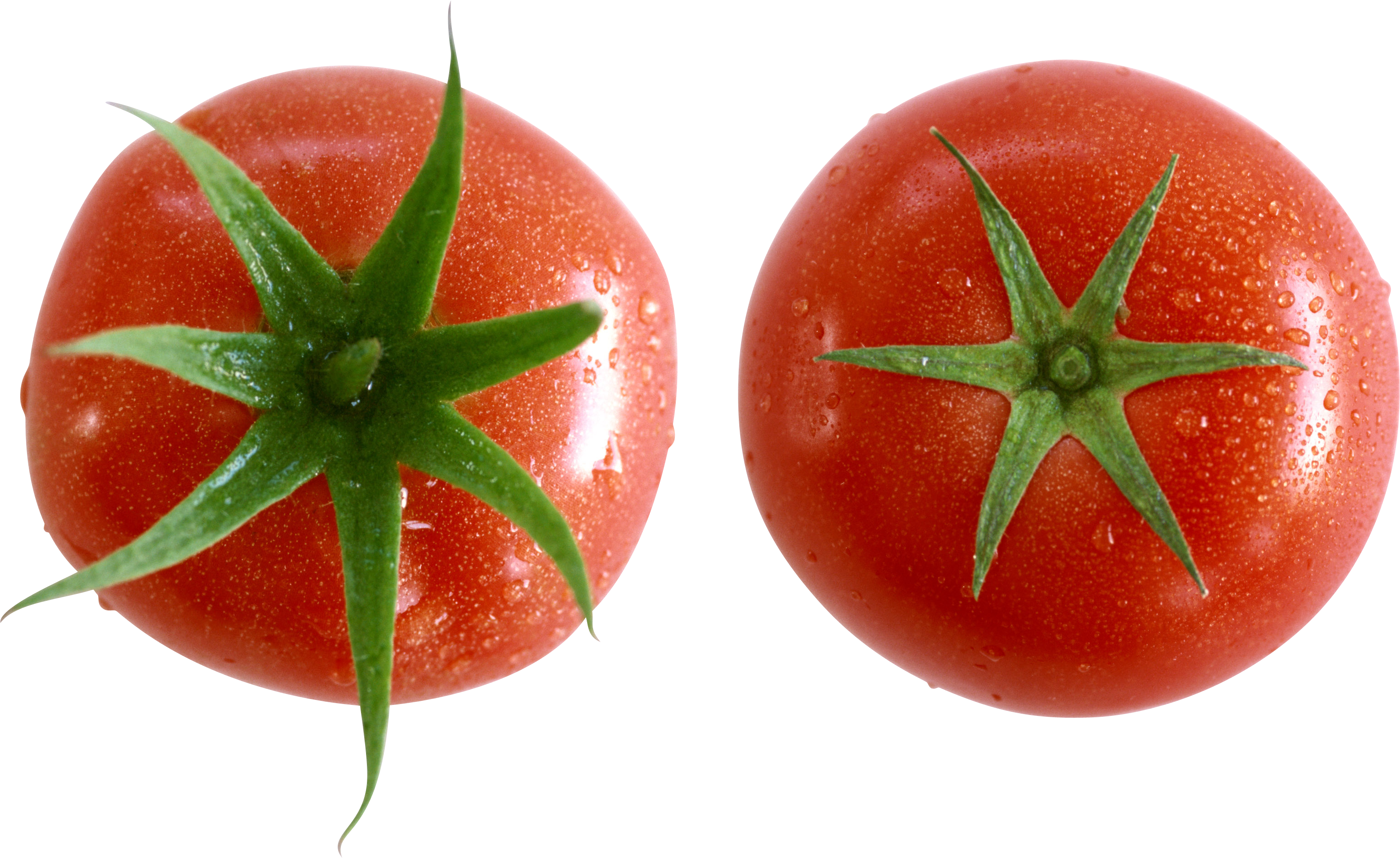 PNG Tomato - 57157
