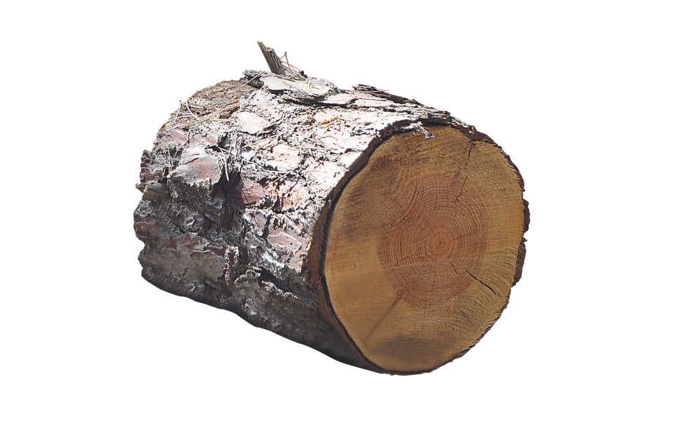 PNG Tree Trunk - 83089