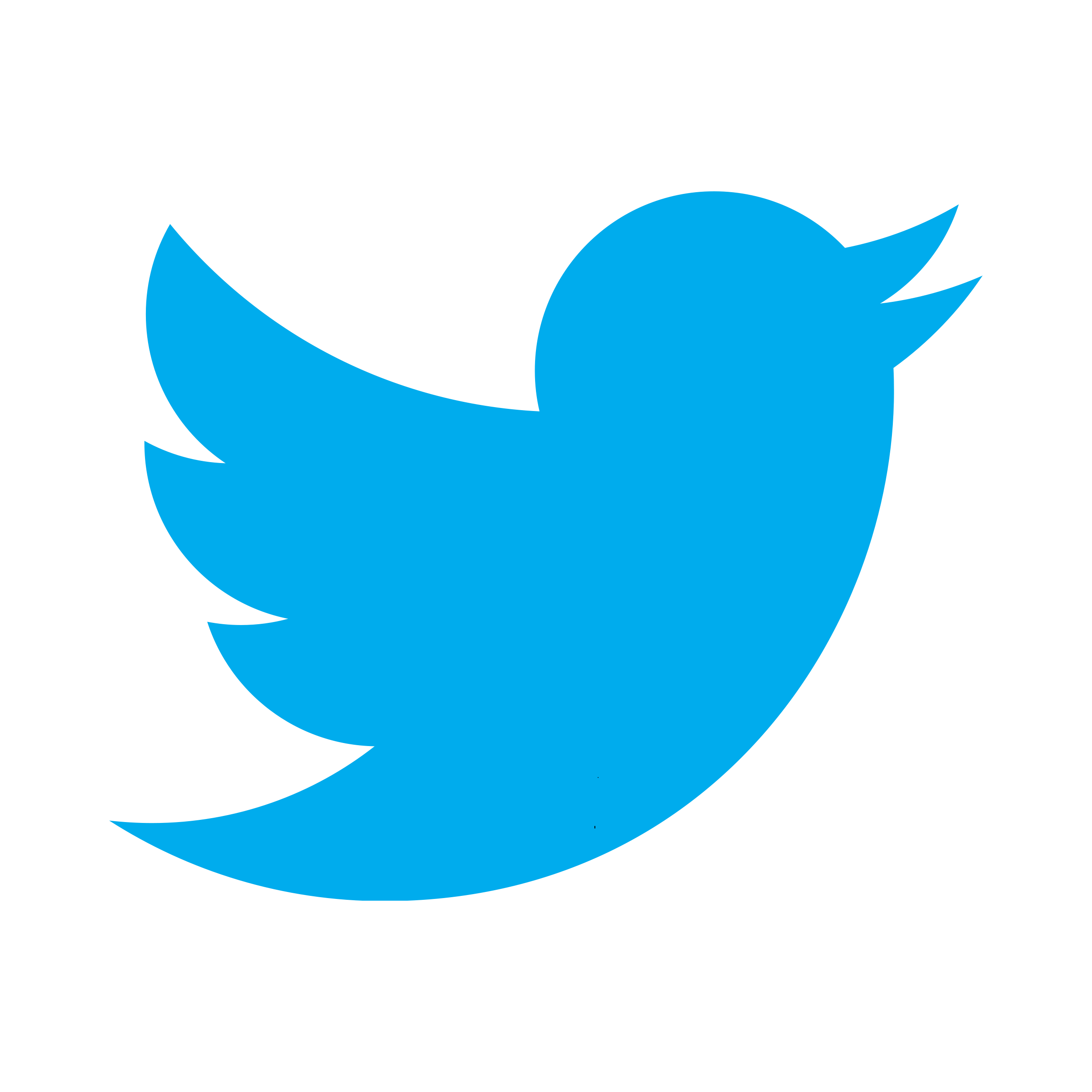 Twitter distorted round icon