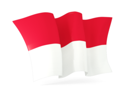 PNG Waving Flag - 55545