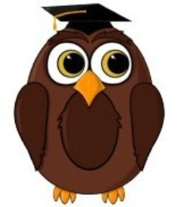 PNG Wise Owl - 53551