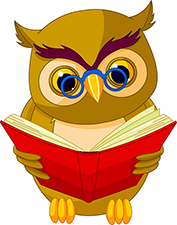 PNG Wise Owl - 53554