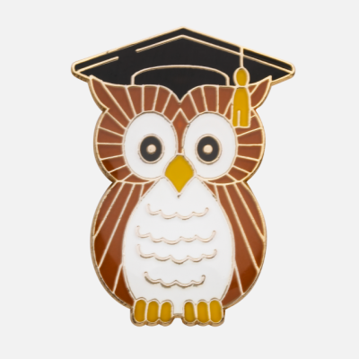 PNG Wise Owl - 53549