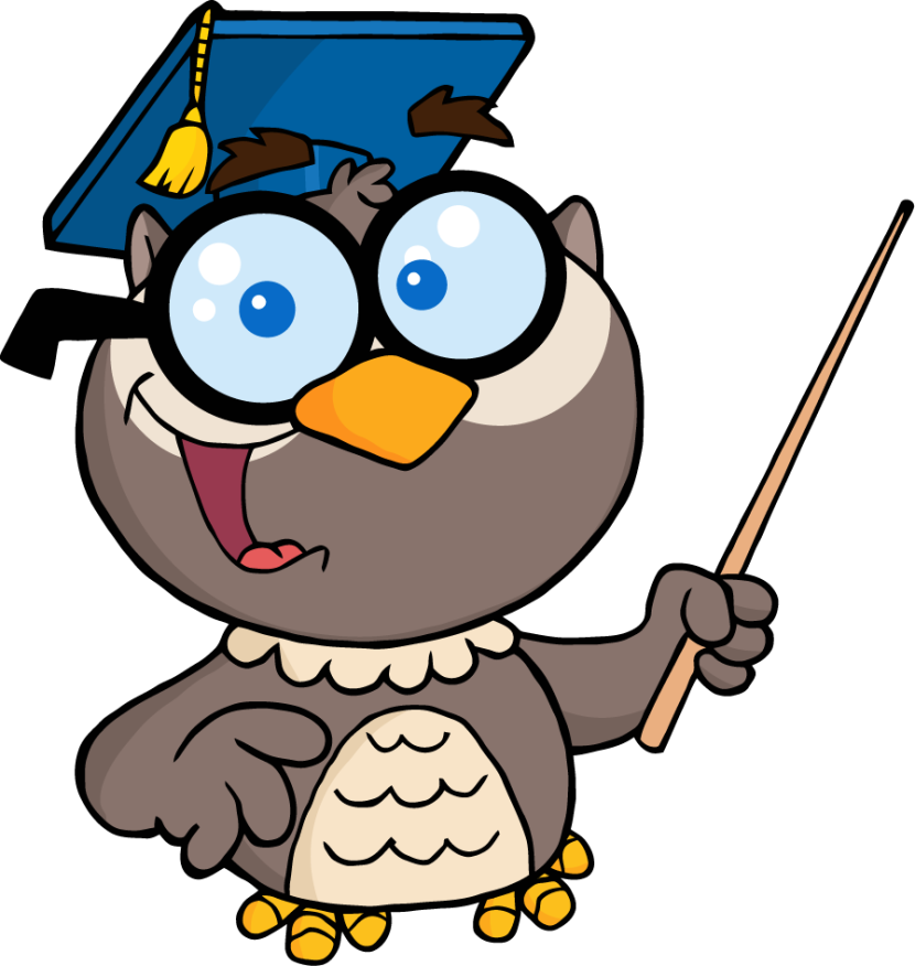 PNG Wise Owl - 53557