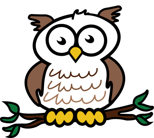 PNG Wise Owl - 53559