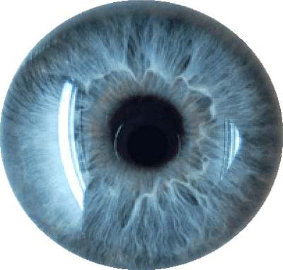 PNG Yeux - 41475