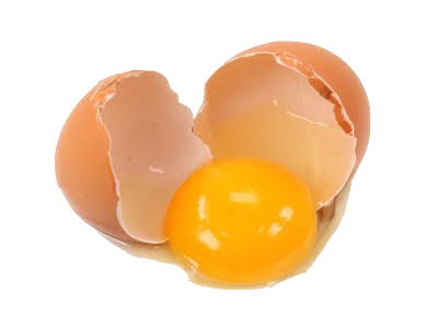 Importance of Egg Yolk for Ba