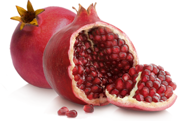 Pomegranate PNG - 27380