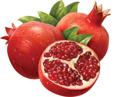 Pomegranate PNG - 16325