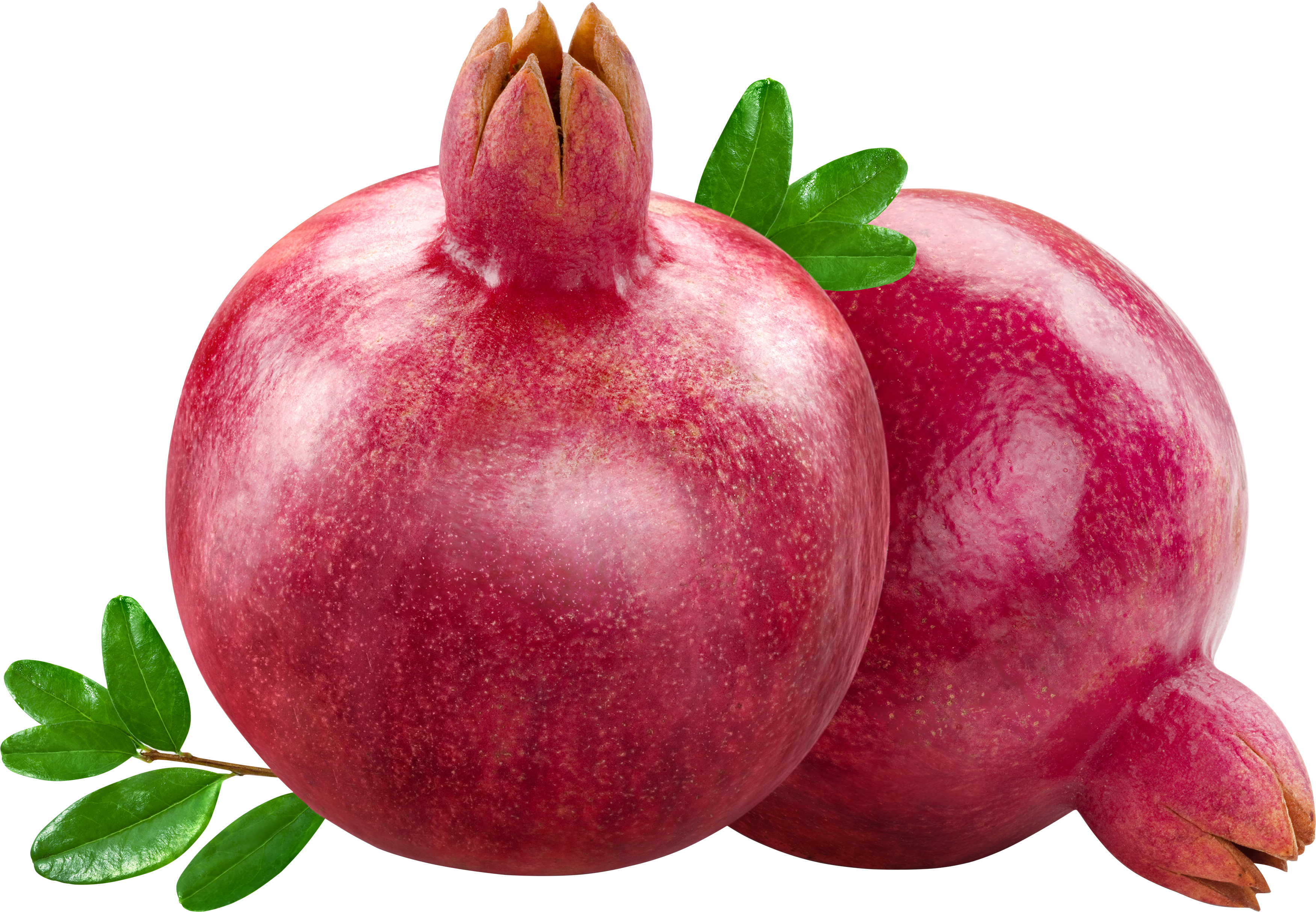 Pomegranate Png image #27845