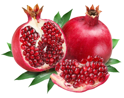 Pomegranate PNG - 27369