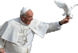 Pope Francis HD PNG - 118769