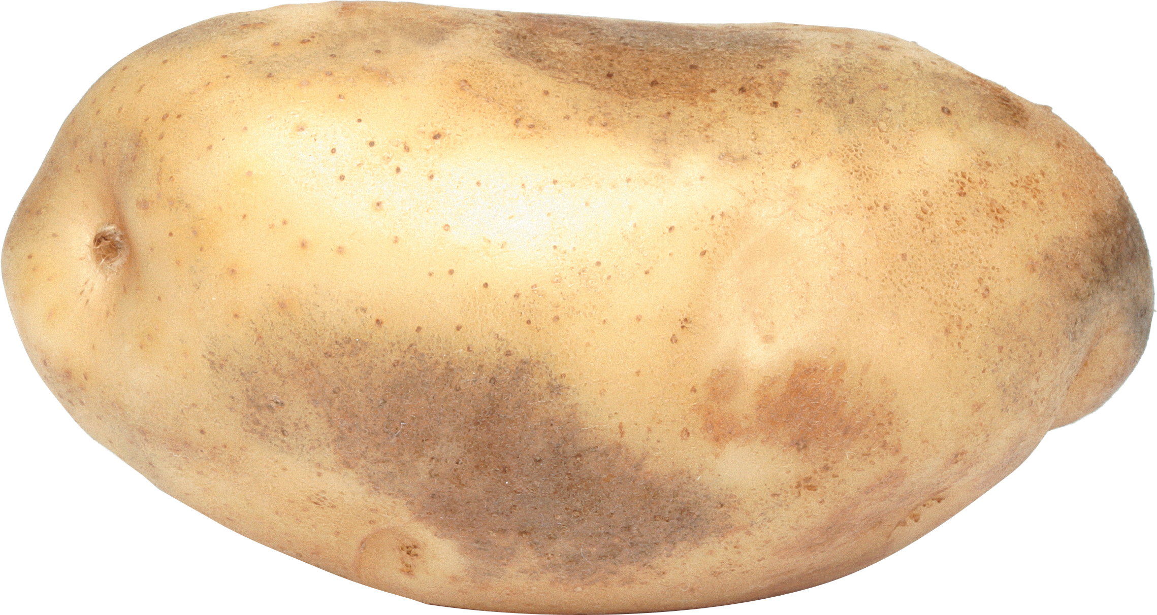 PNG File Name: Potato PlusPng