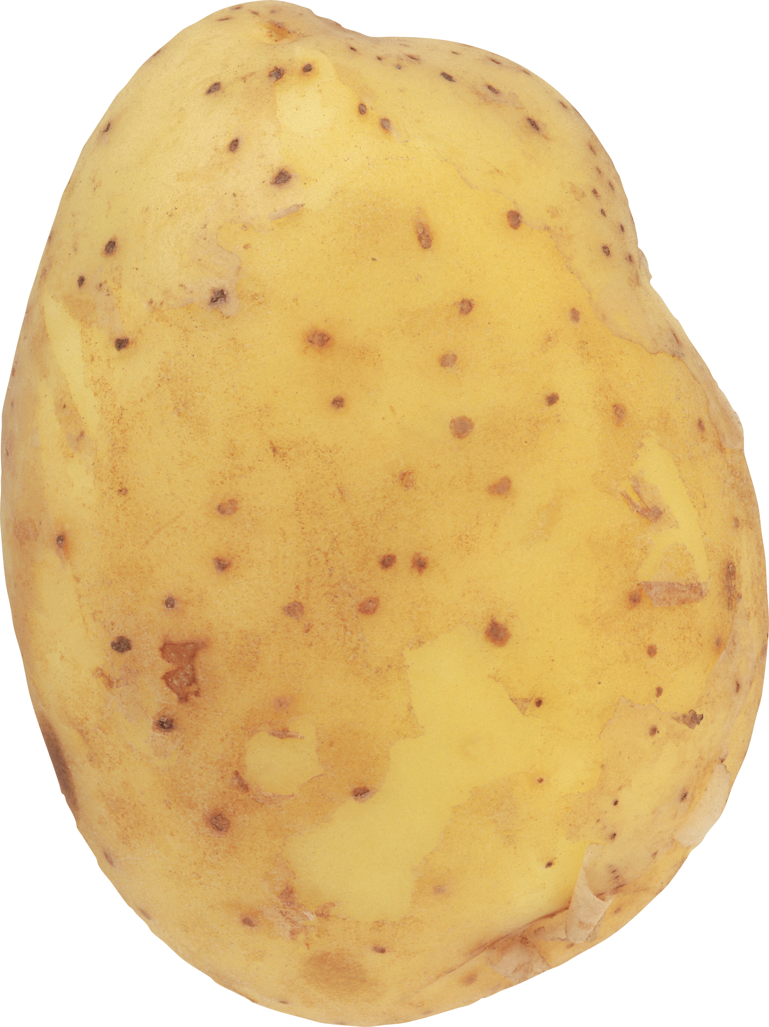 Potato PNG Photos