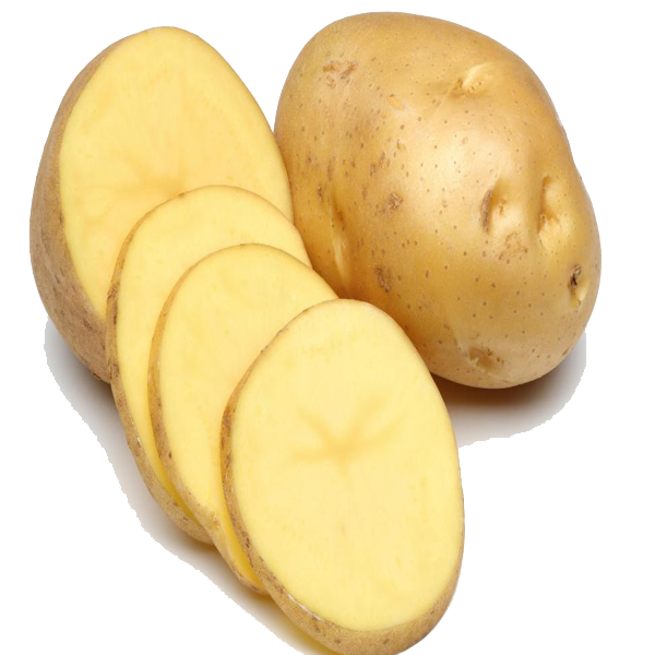 Potato PNG - 7082