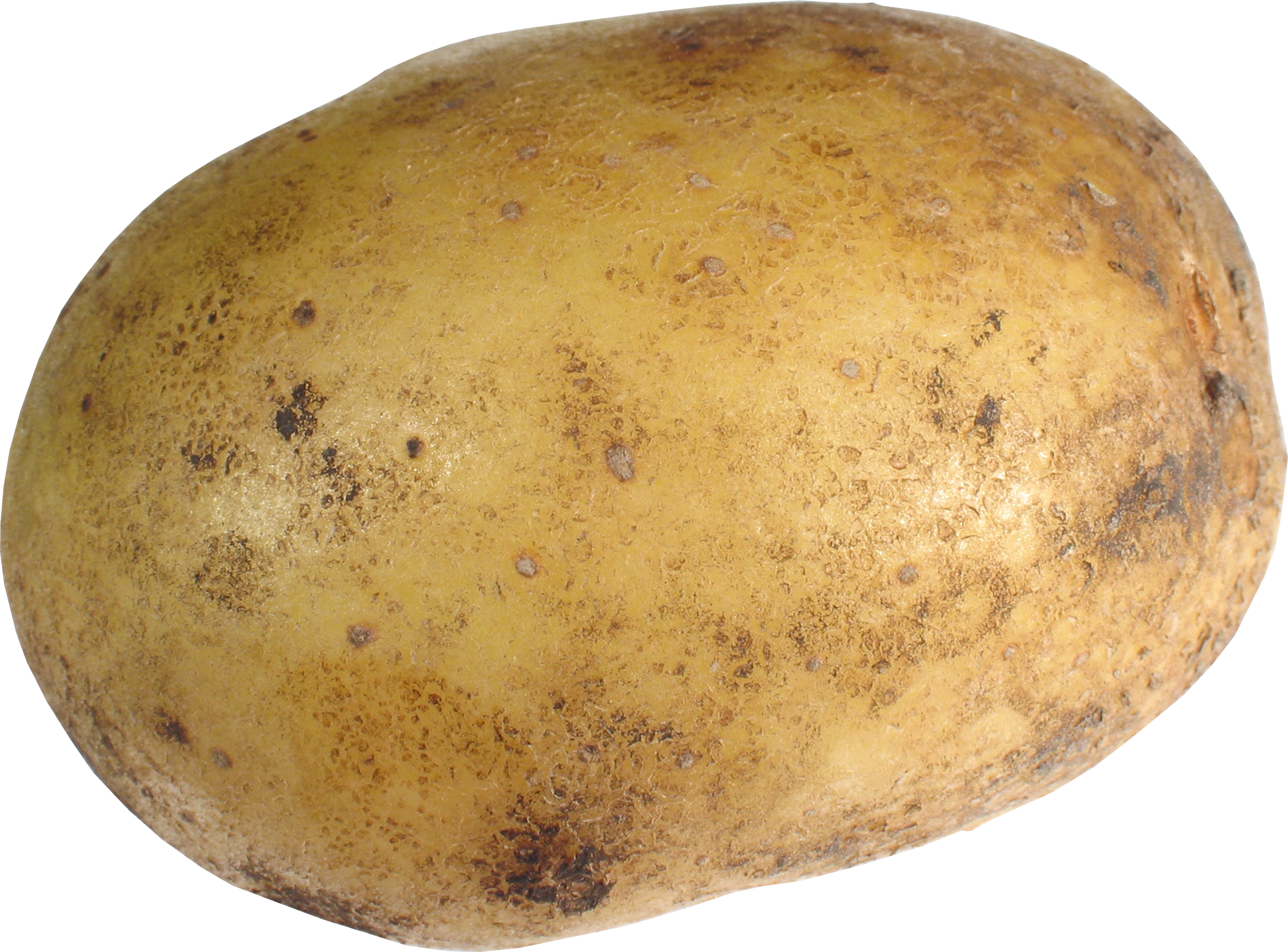 Potato PNG - 21831