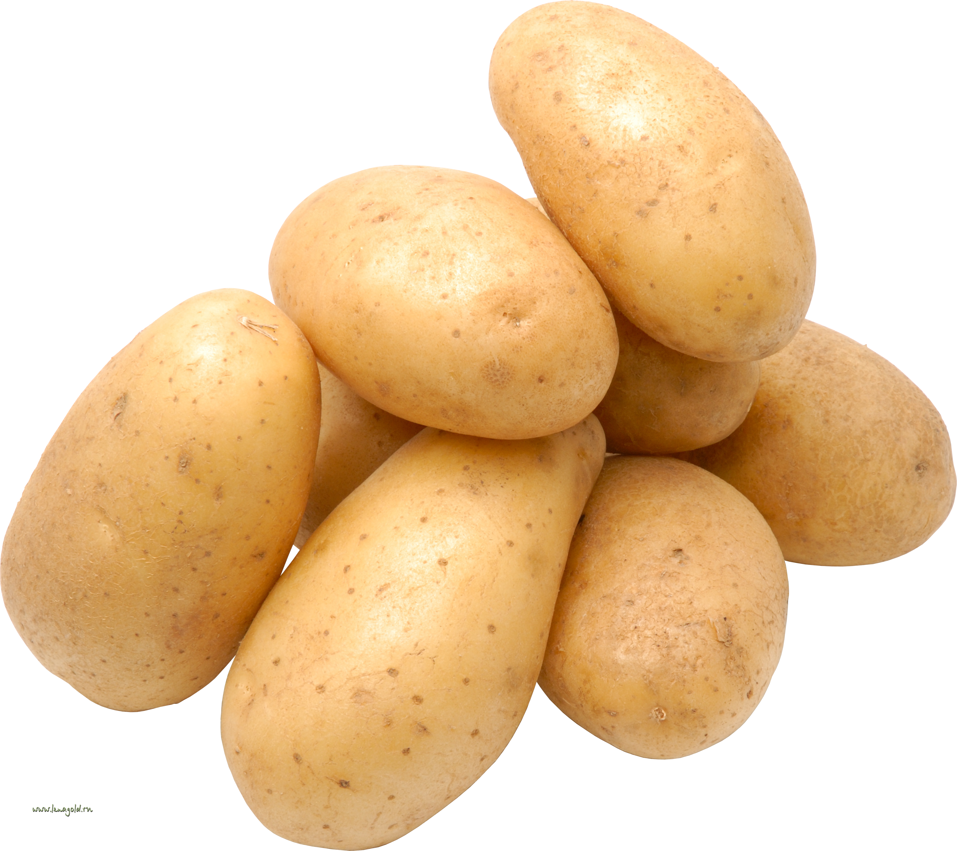 Potato PNG - 21830
