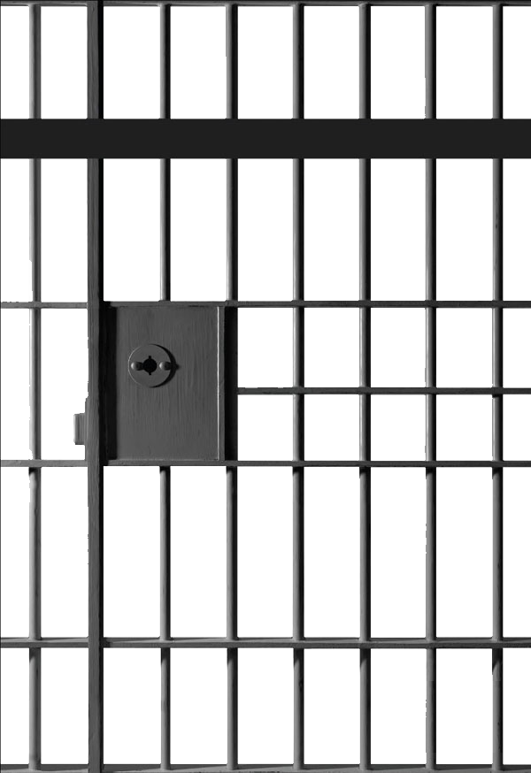 Prison bars with doors. Anima