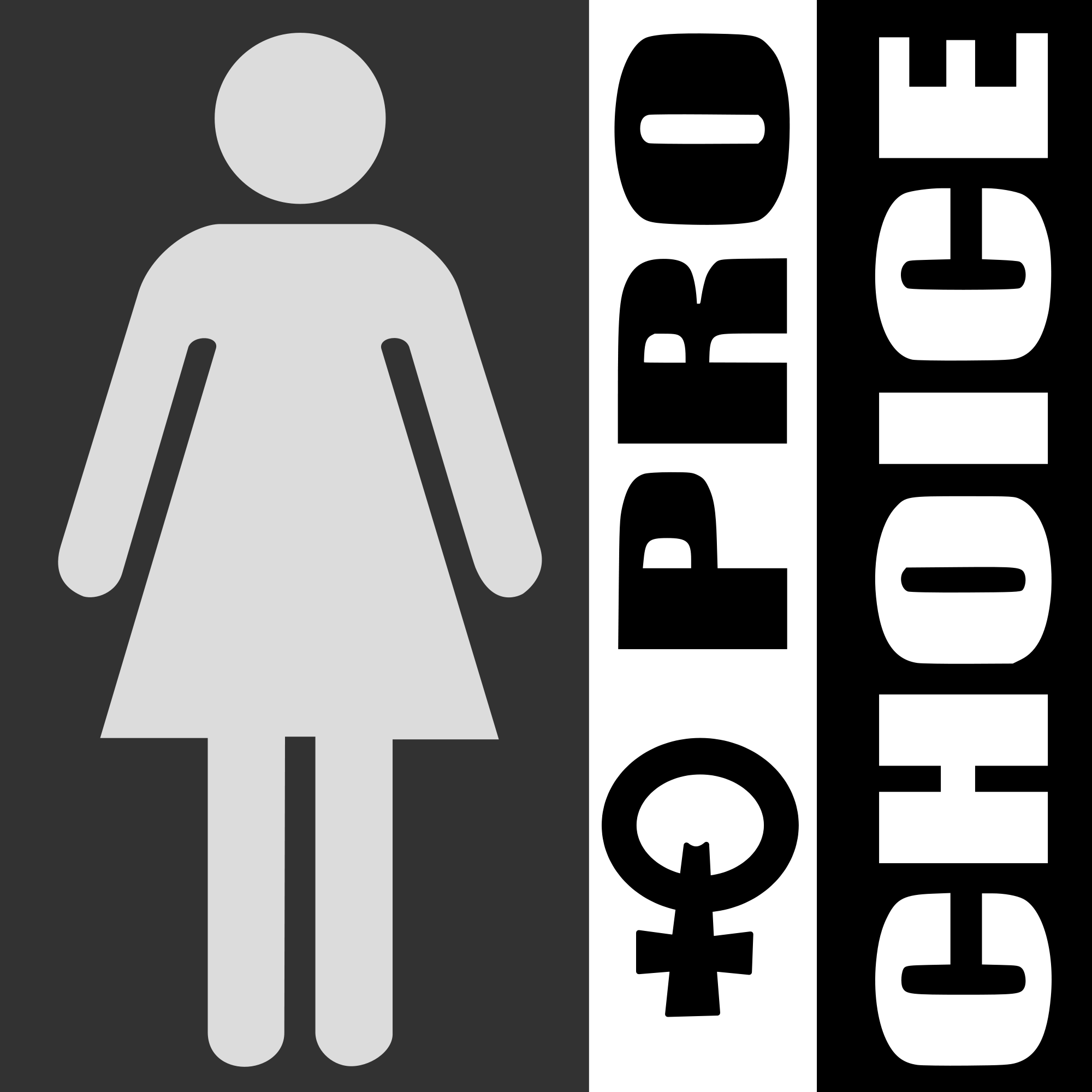 Pro Choice Or No Voice Submit