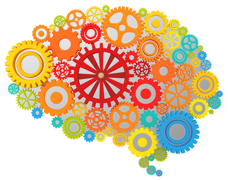 Brain Gears Icon Png