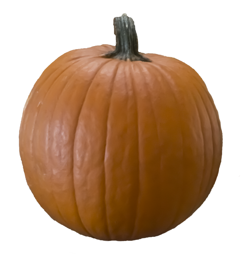 Pumpkin PNG - 18100