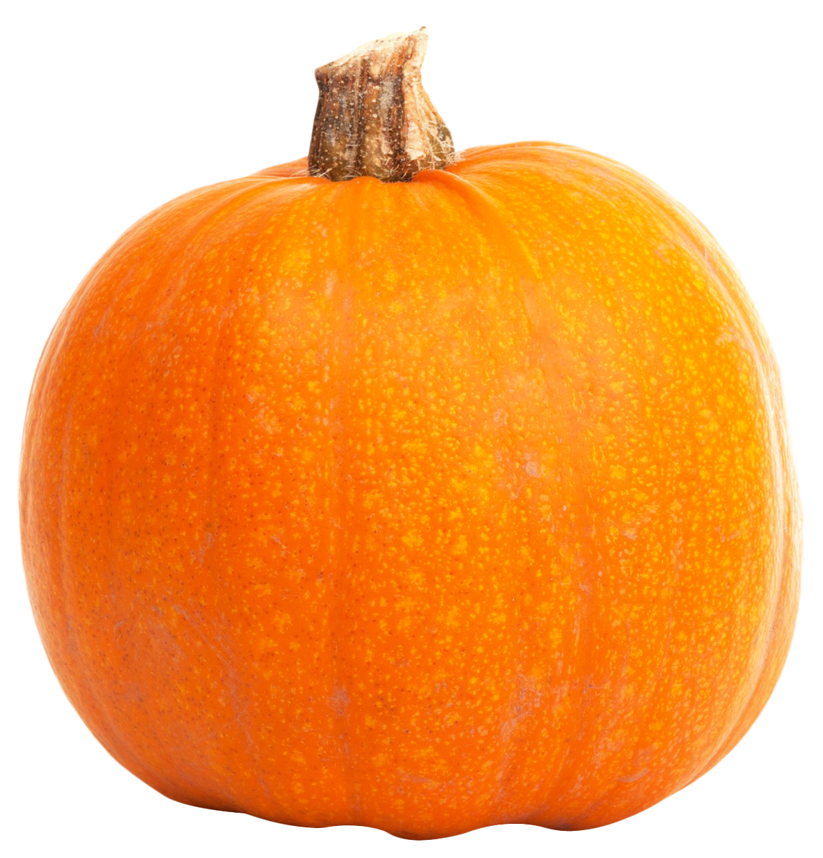 PNG File Name: Real Pumpkin P