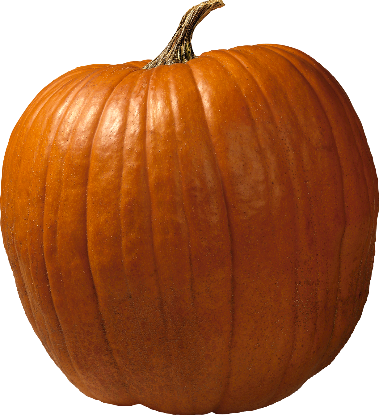 Pumpkin PNG - 18098