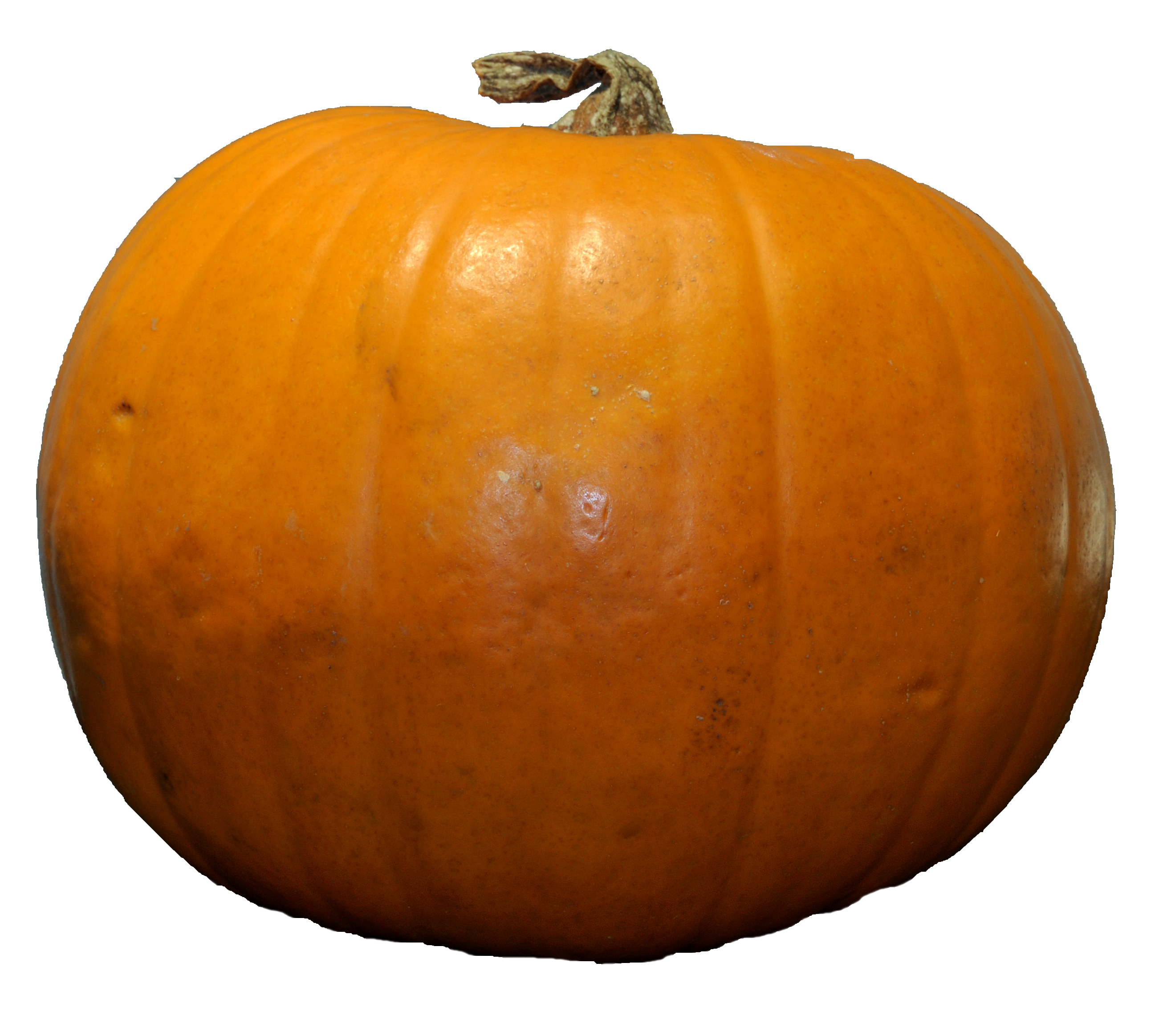 Pumpkin Icon image #32167