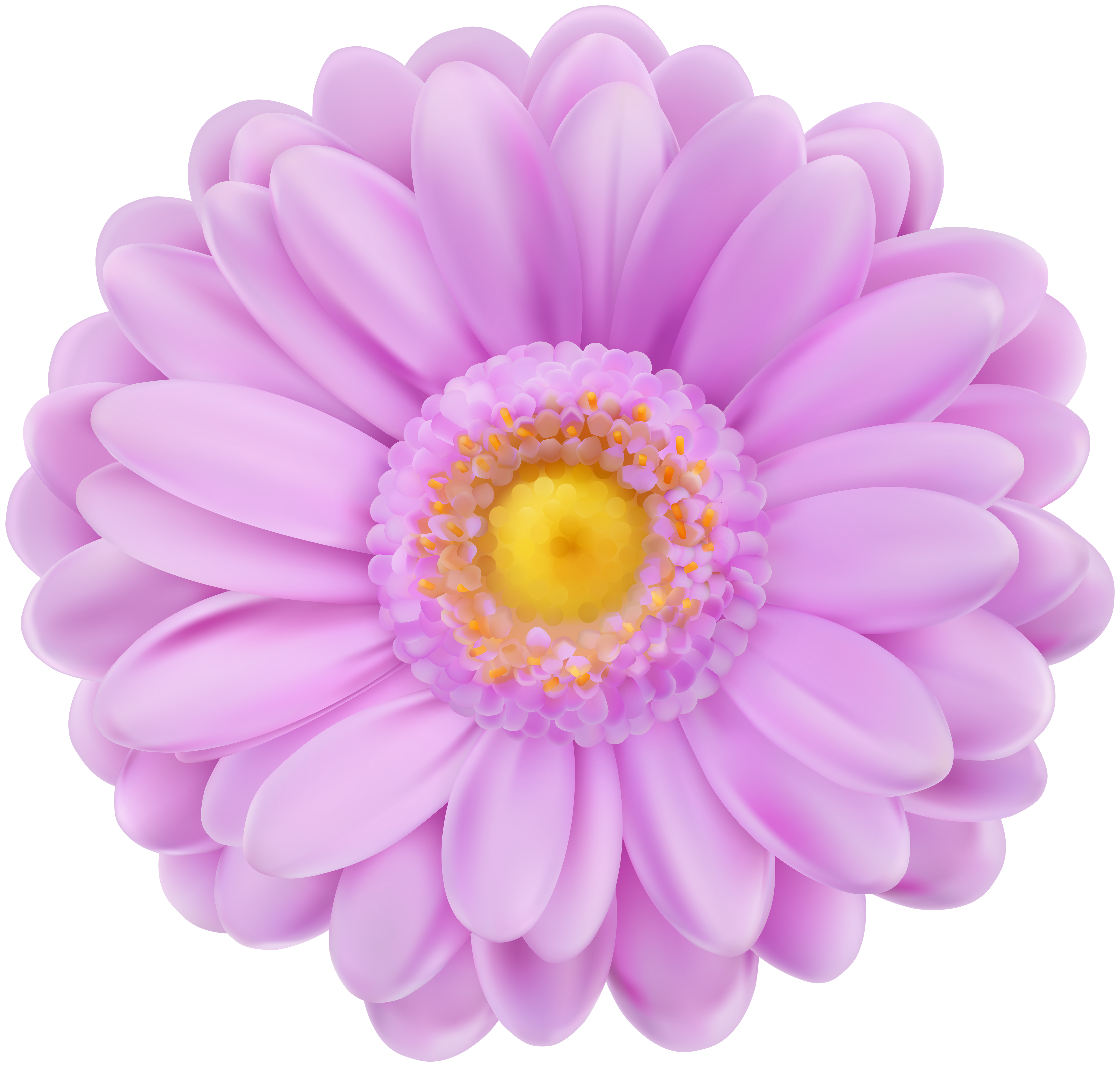 Purple And Pink Flowers PNG - 169865