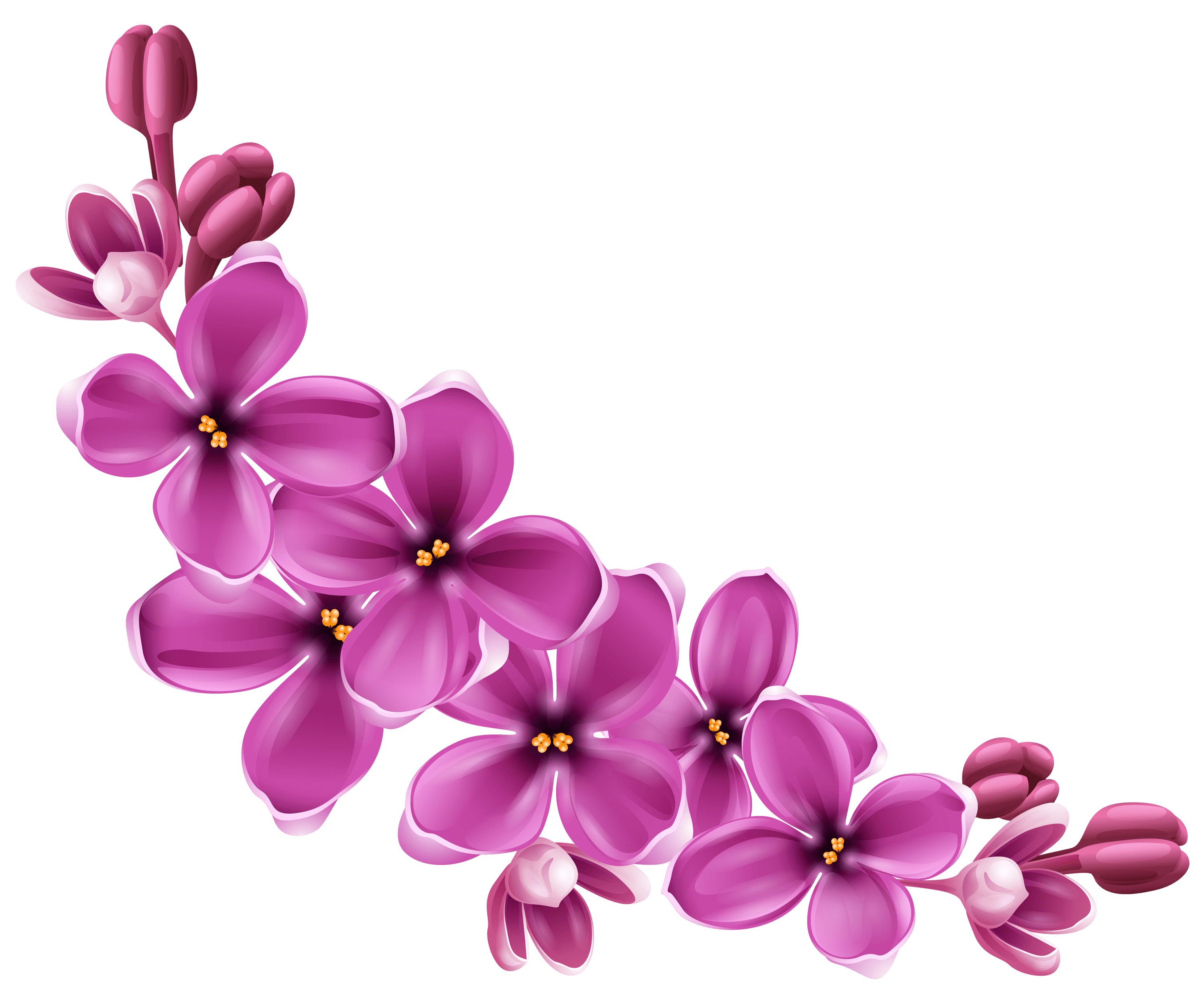 Purple And Pink Flowers PNG - 169862