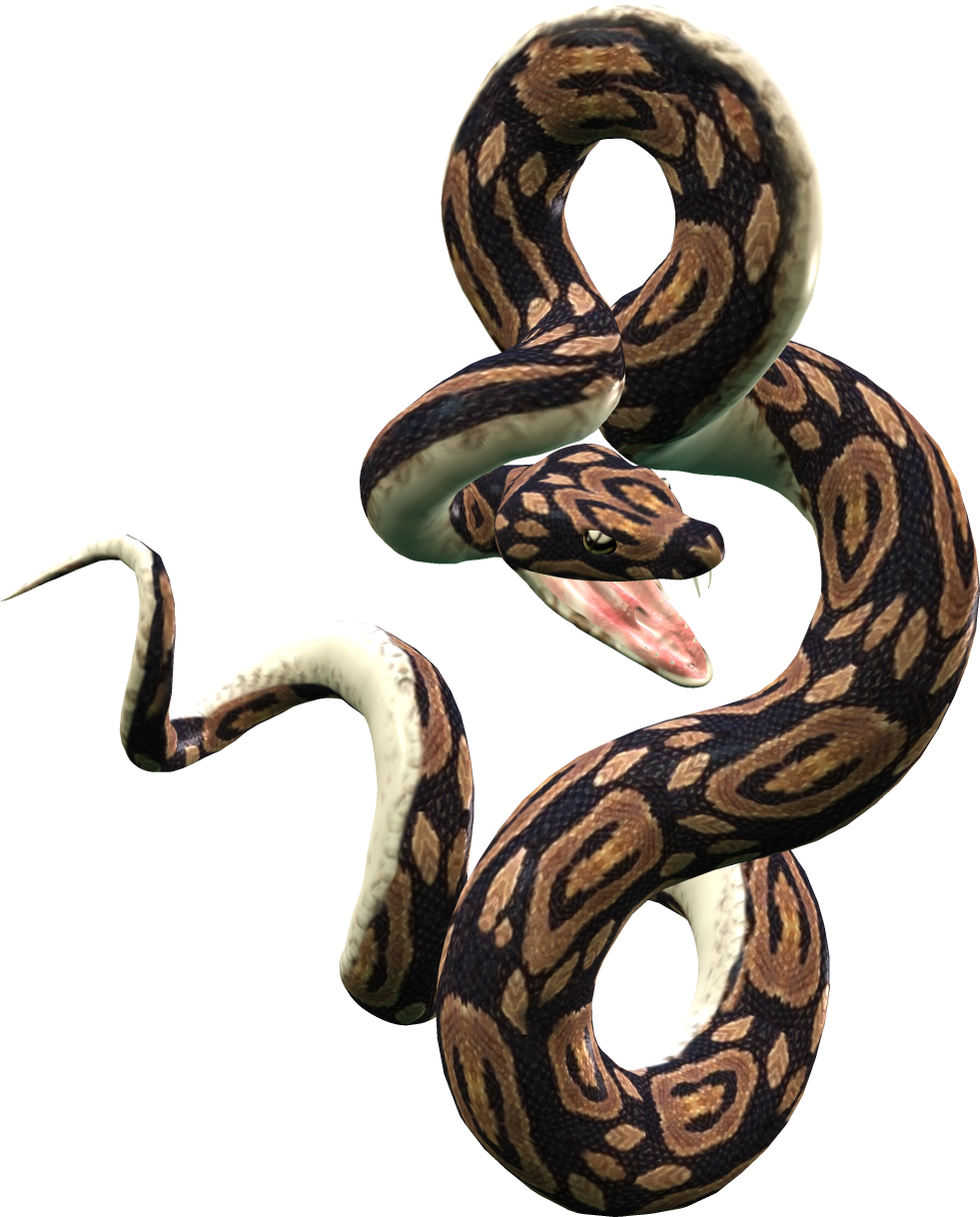 Python Snake PNG - 62150
