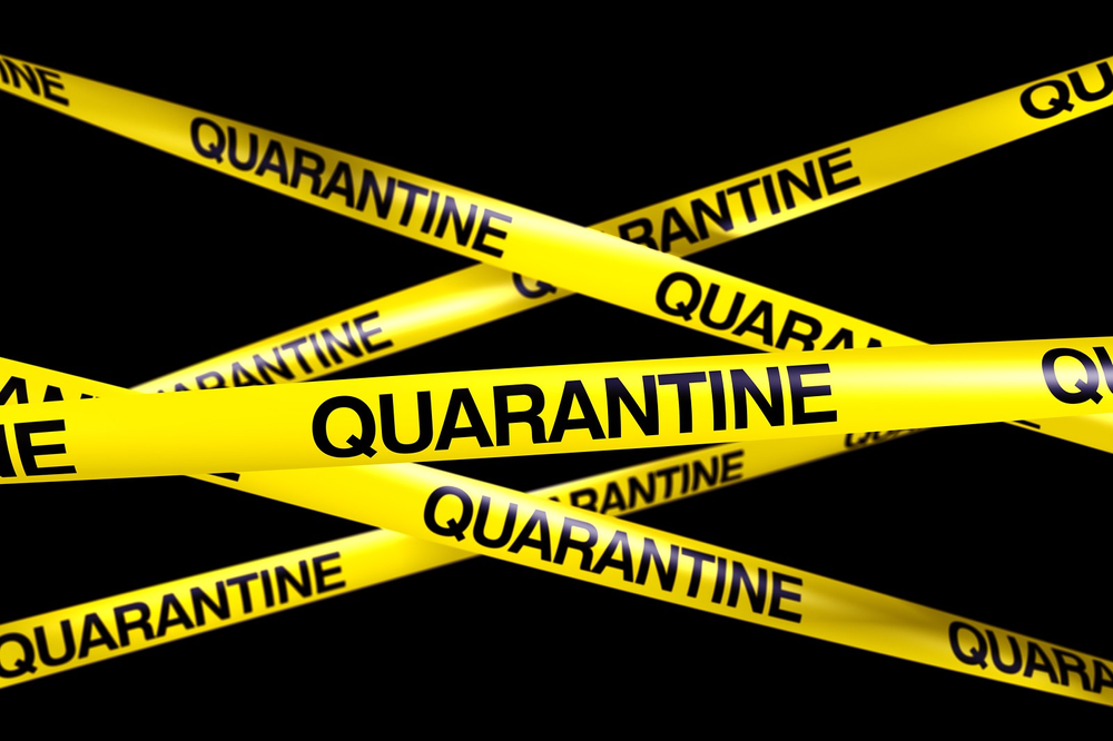Quarantine PNG - 180677