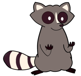 Raccoon PNG - 18248