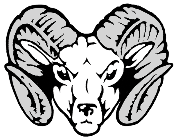 Ram Horns Sheep Zoo Wild Anim