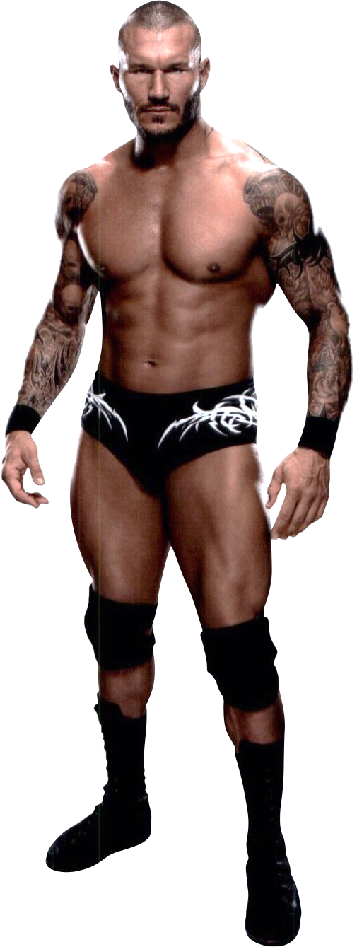 Randy Orton Grey Trunks 2015 