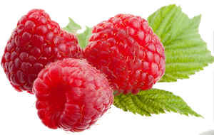 Raspberries PNG - 27958