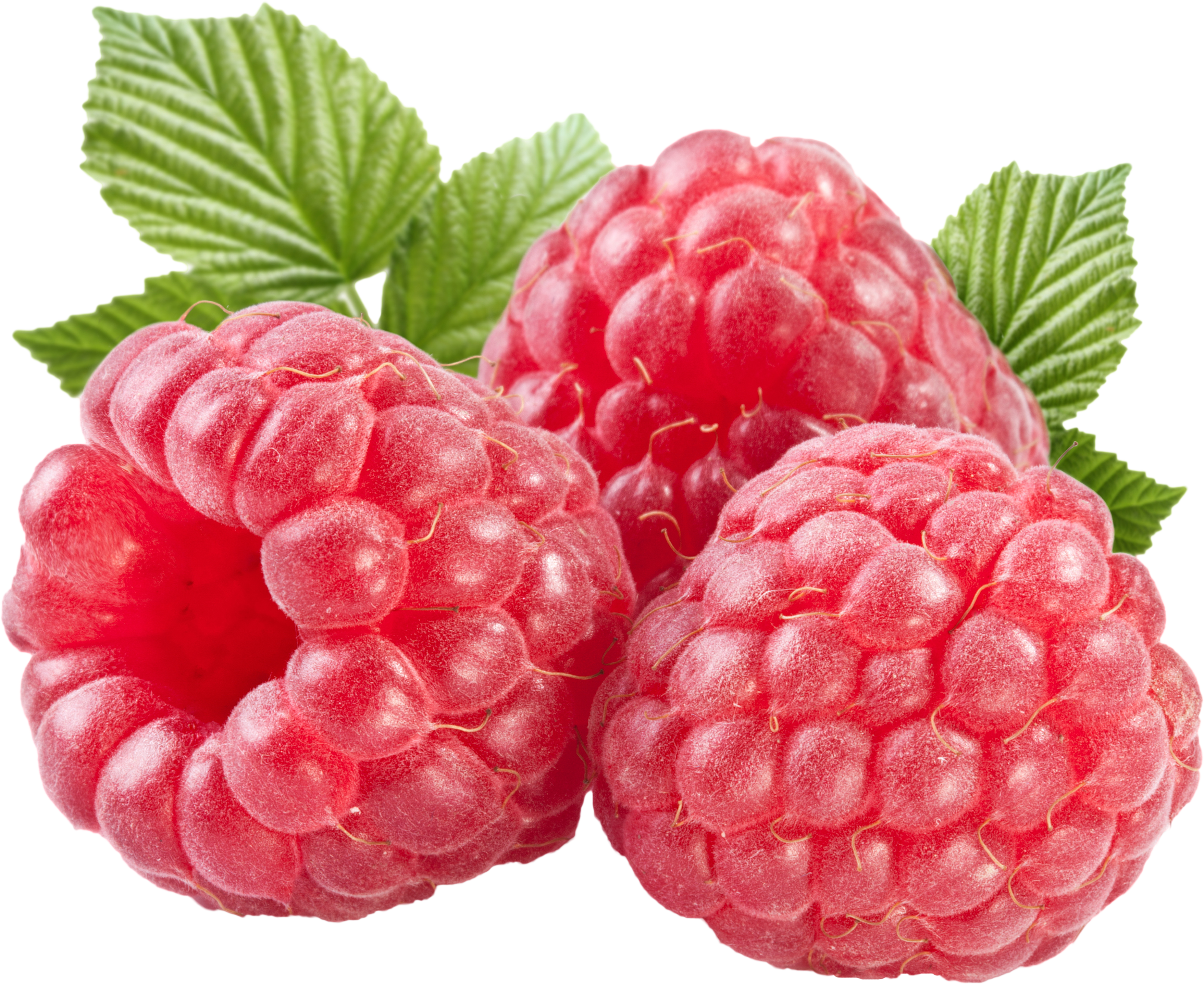 Raspberries PNG - 27955