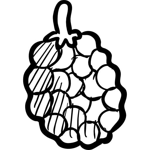 Raspberry PNG Black And White - 64862