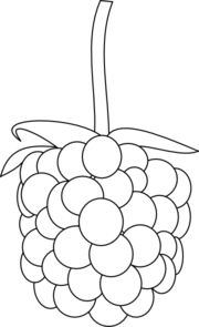 Raspberry PNG Black And White - 64859