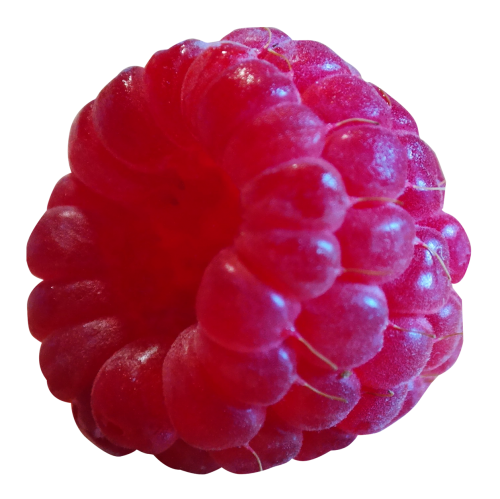 Raspberry PNG - 23707