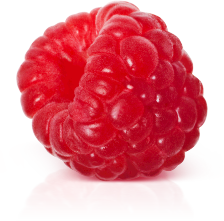 Raspberry PNG - 8796