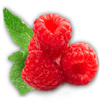 Raspberry PNG - 23701