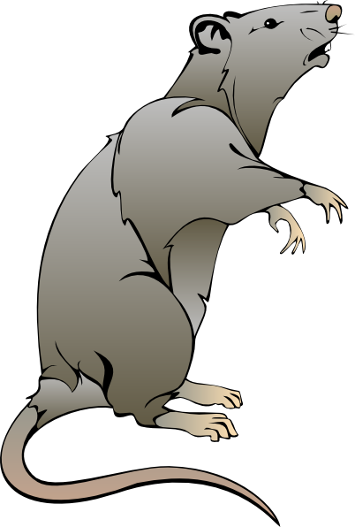Rats PNG HD - 122283