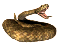 photo rattlesnake-clipart png