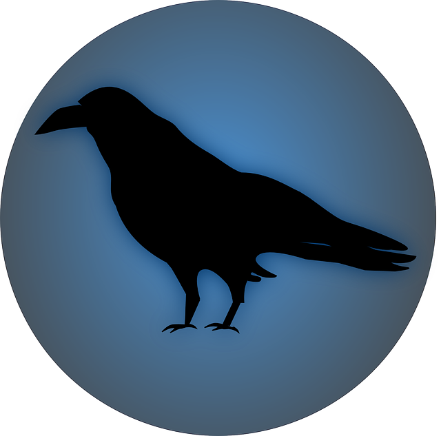Raven PNG Public Domain - 71845